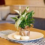 Chalet Staudach - Alpinresidenz Zillertal *