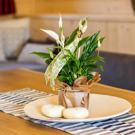 Alpehytte Staudach - Alpinresidenz Zillertal *